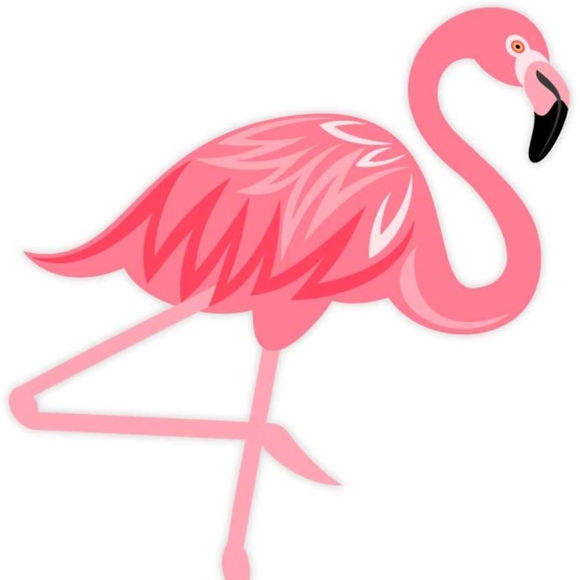 random_flamingo